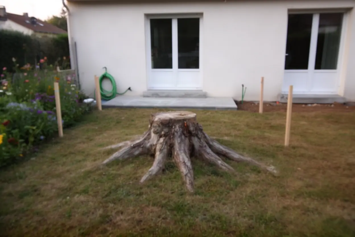 Souche feuillue avant travaux au Palais-sur-Vienne